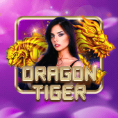 Dragon Tiger Bingo Plus Casino live